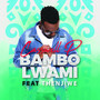 Bambo Lwami