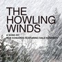 The Howling Winds (feat. Haley Durben)