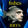 fishes (deluxe)