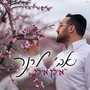 אילן אילן