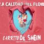 Carrito De Shein (feat. Gabriela DP)