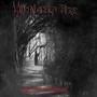 Out of the Darkness