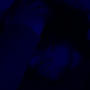 PAPERCUTS (feat. OL_Drixps) [Explicit]