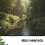 Ríos y Arroyos: Armonias del río