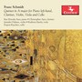 SCHMIDT, F.: Quintet No. 1 (Kae Hosoda-Ayer, C. Ayer, Dalmas, Steely, Raychev)