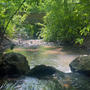 water song