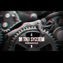 In the System