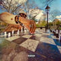 Do What I Wish (Explicit)