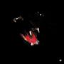 9 lives (Explicit)