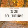 Suoni dell'autunno - Canzoni rilassanti per ricaricare l'energia naturale del corpo