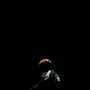 DIAMONDS (Explicit)
