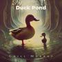 Duck Pond