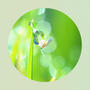 Thunderphase (Deep Sleep Mix)