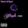 Purple rose (Explicit)