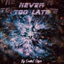 Never Too Late (feat. Rawlo) [Explicit]