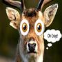 Whats Bothering Me (feat. Paul Stephens)