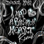 I Had a Broken Heart (remix)