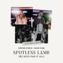 Spotless Lamb / Jesus Paid It All (feat. David Funk)