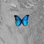 Mariposa