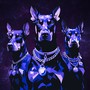 Im Sirius