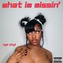 what im missin' (Explicit)