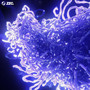 Telomere