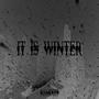 IT IS WINTER (Remixes)