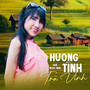 Hương Tình Trà Vinh