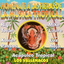 Homenaje a la Fieras de la Música Tropical