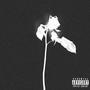 DEAD ROSES (feat. Z4Y) [Explicit]