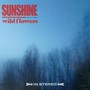 Sunshine