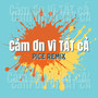 Cảm Ơn Vì Tất Cả (Pice Remix)