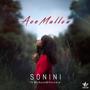 Sonini (feat. Mc Sasa and Vsinare)