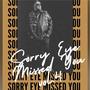 Sorry Eye Missed You, Vol. 4