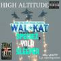 High Altitude (feat. Species, Yola & Sleeper)