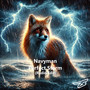 Perfect Storm (Radio Edit)