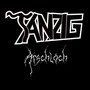 Arschloch (Explicit)