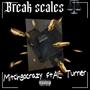 Break scales (feat. MitchGoCrazy) [Explicit]