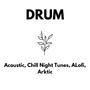 DRUM (feat. ALofi, Acoustic & Arktic)