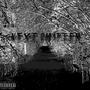 NEXT CHAPTER (Explicit)