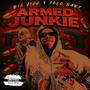 Armed Junkie (feat. Solo Baby) [Explicit]