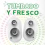 Tumbado y Fresco