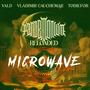 Regulation Microwave