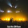 Gala Nite EDM Room