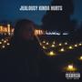 jealousy kinda hurts (Explicit)