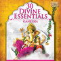 30 Divine Essentials Ganesha