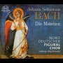 Johann Sebastian Bach: Die Motetten