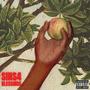 Sins 4 Blessings (Explicit)