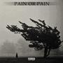 Pain or Pain (feat. DVP) [Explicit]