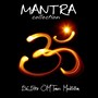 Mantra Collection (136,1Hrz OM Tones Meditation)